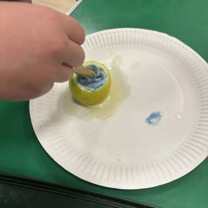 9abe0885-6189-42d6-B0fb-667090