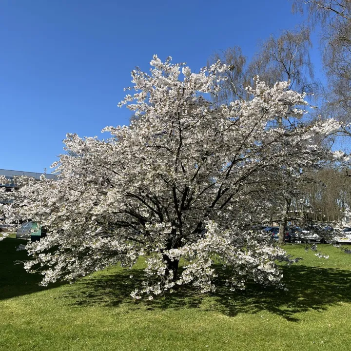 Keele Christopher Gallagher 8