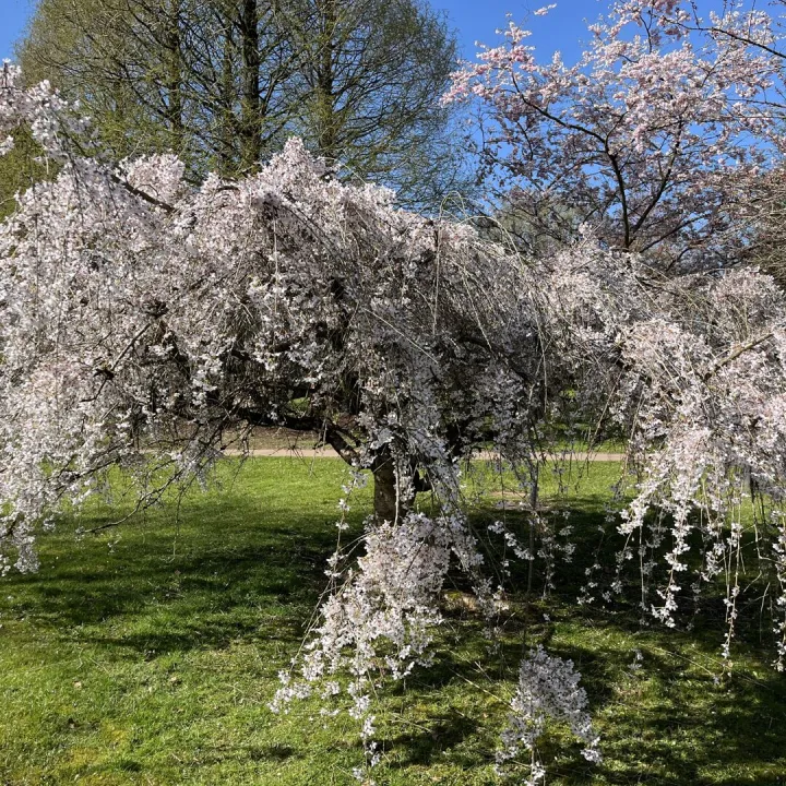 Keele Christopher Gallagher 10