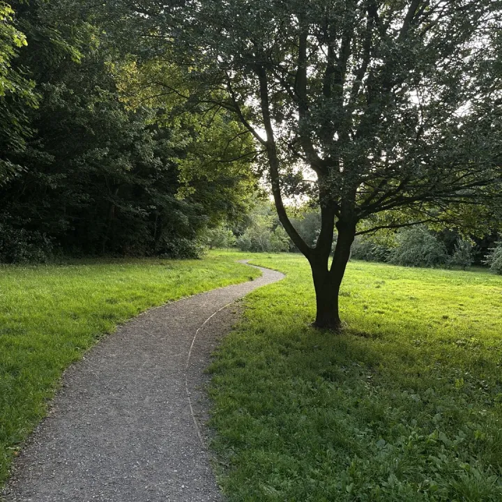 Tarvin Woodland July 2025 – Orchard