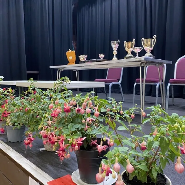 Trophies in Display Entried in