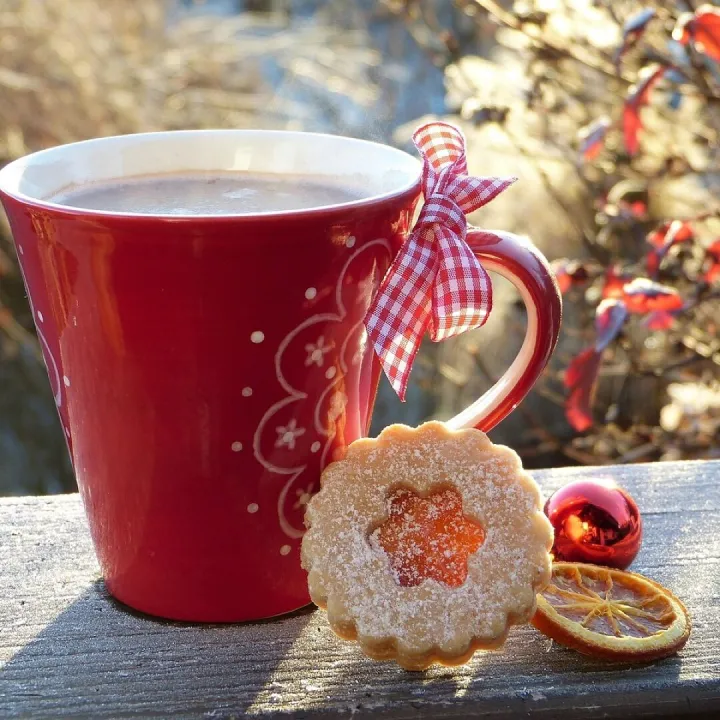 Cup, red, cookie, coffee cup, hoarfrost, wintry