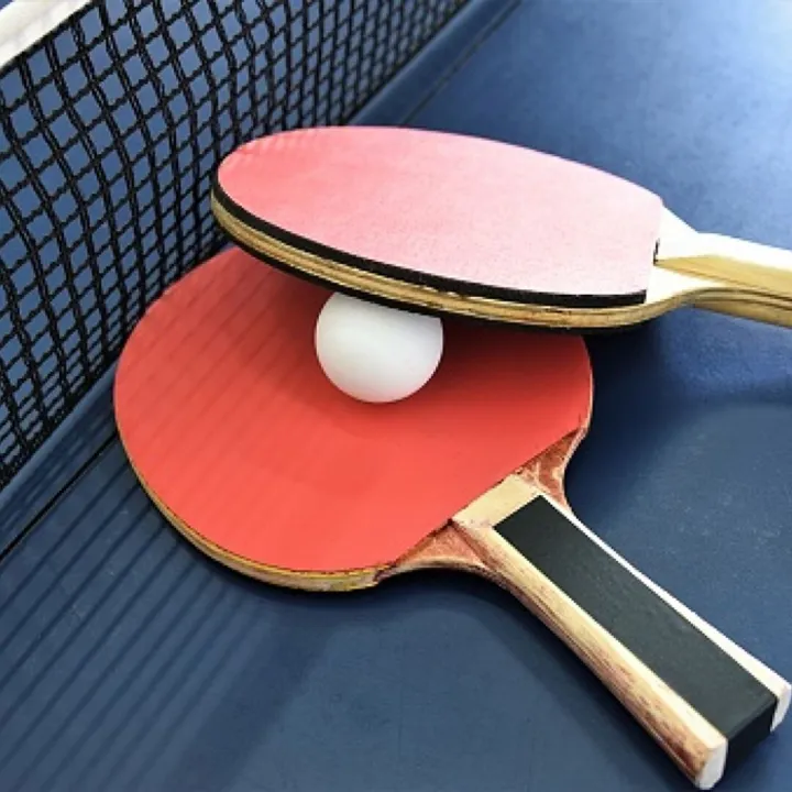 Table Tennis Pic 03