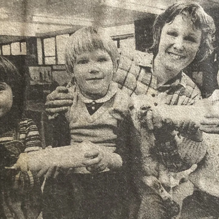 Lambs At Tarvin School March 1984