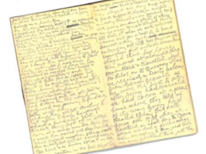 Diary 2