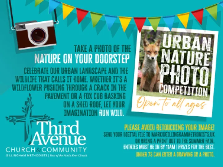 Photo Comp Crop