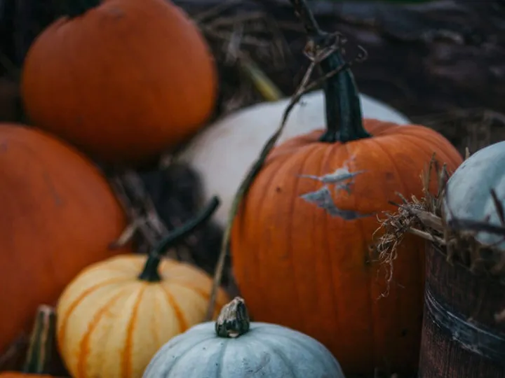 Mixed Harvest Pumpkins Display
