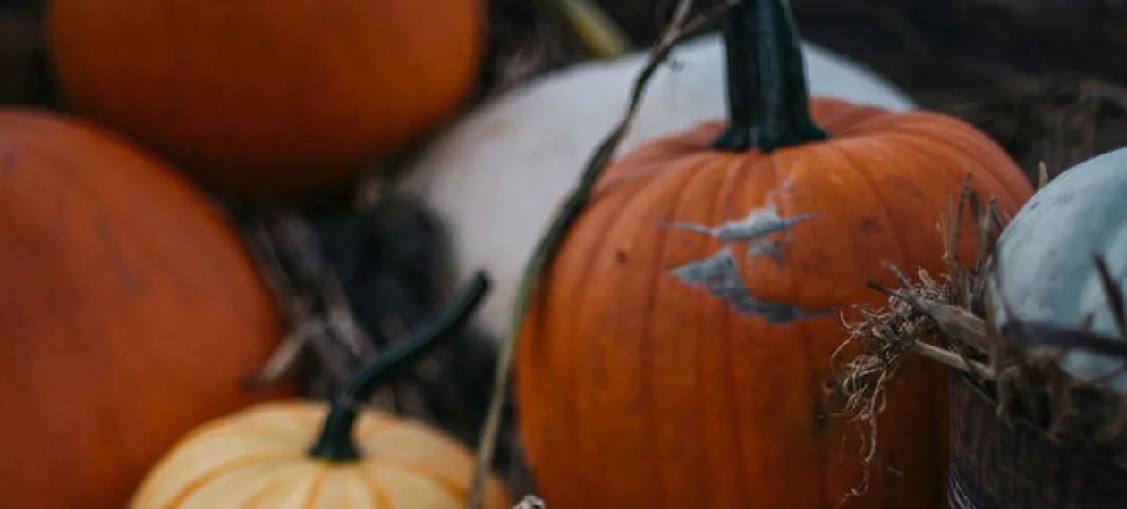 Mixed Harvest Pumpkins Display