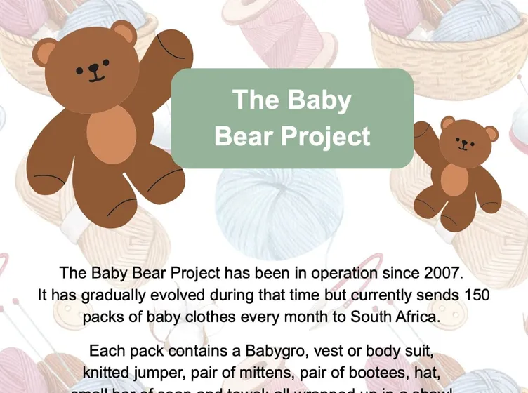 Baby Bear Project
