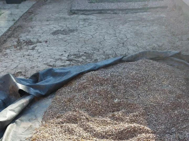 Items free to a good home! &ndash; Pea Shingle n/r