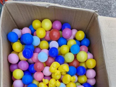 Items for sale &ndash; Ball pit balls and ducks &pound;7