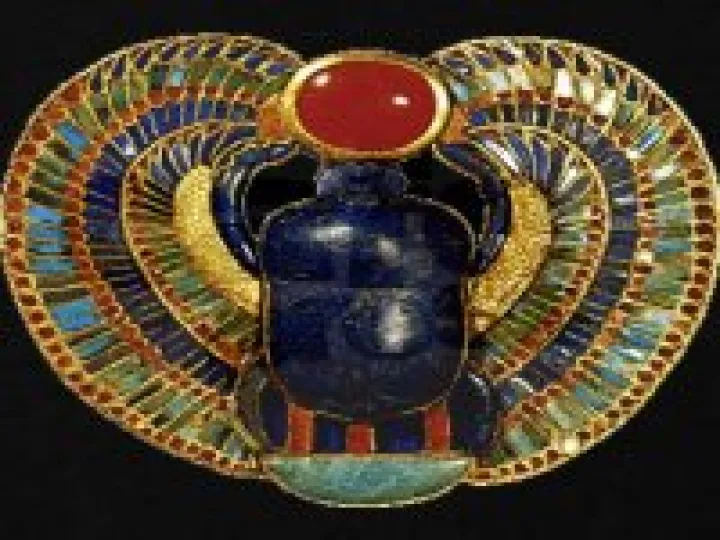 scarab beetle