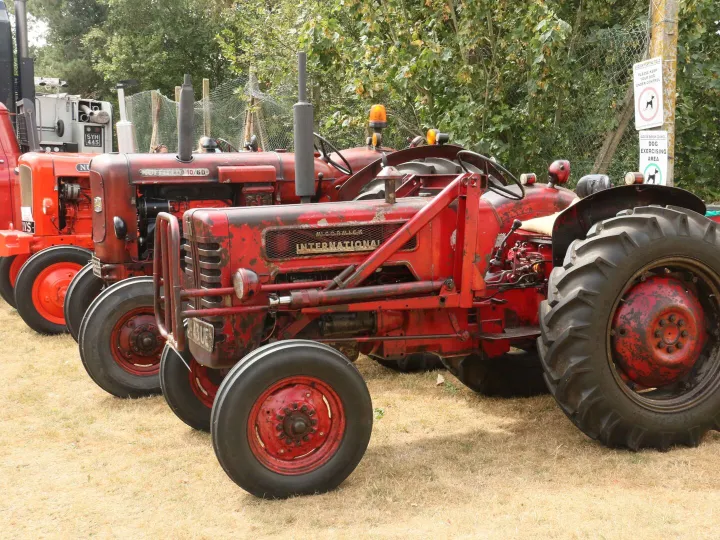 2026t1