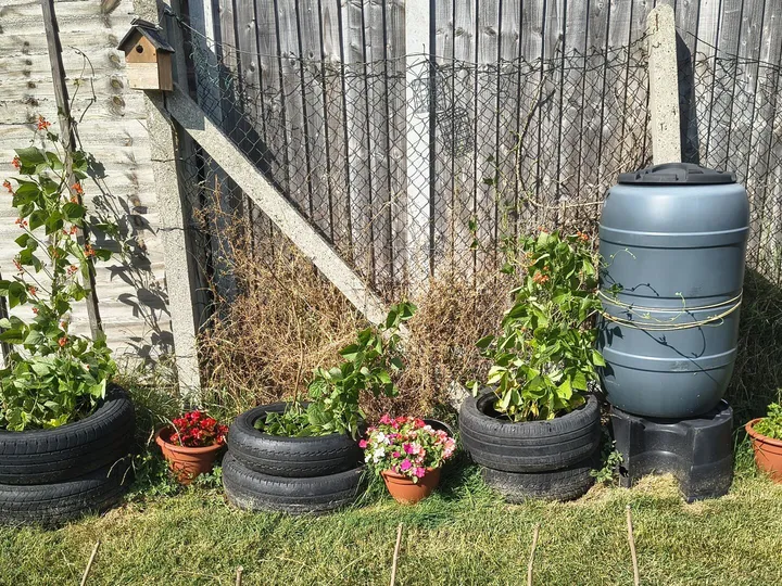 2026 Canvey Eco Garden