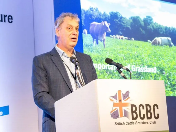 Net zero from productive grasslands
