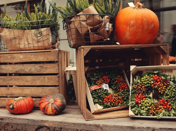 Rustic autumn market scene showcasing pumpkins