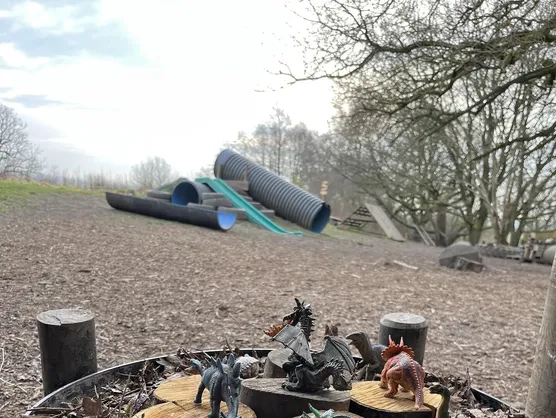 Toy dinosaurs arranged on log slices in a tray of leaves
