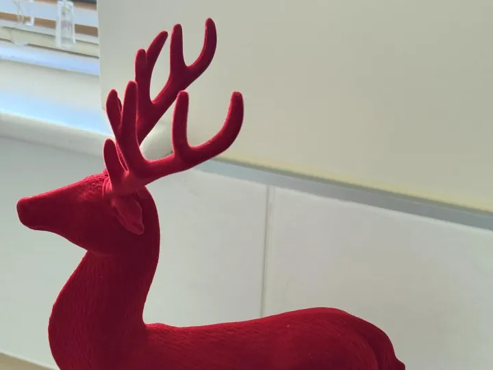 Items for sale
– Reindeer £5