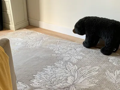 Items for sale
– Wool mix rug £20