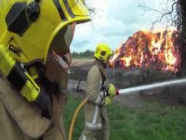 miscanthus fire