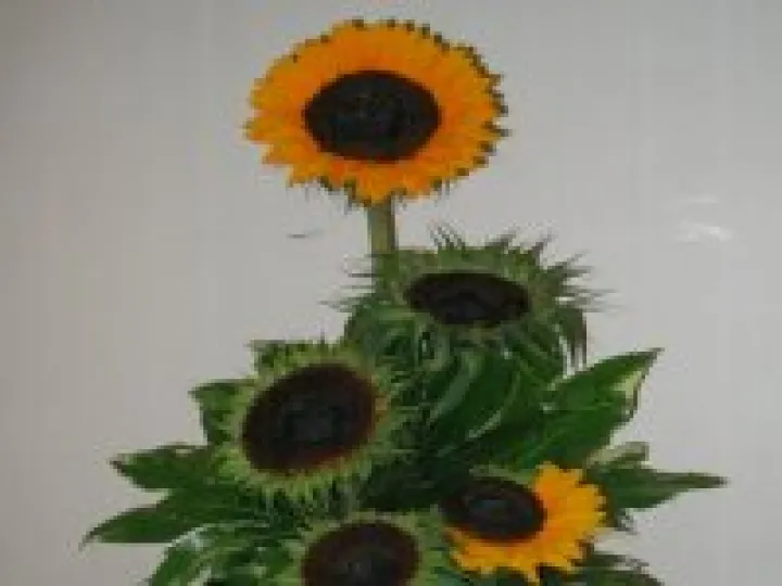 Gardening Show 15e