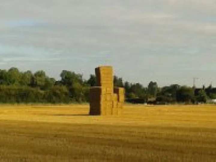 Chair-ch Minshull