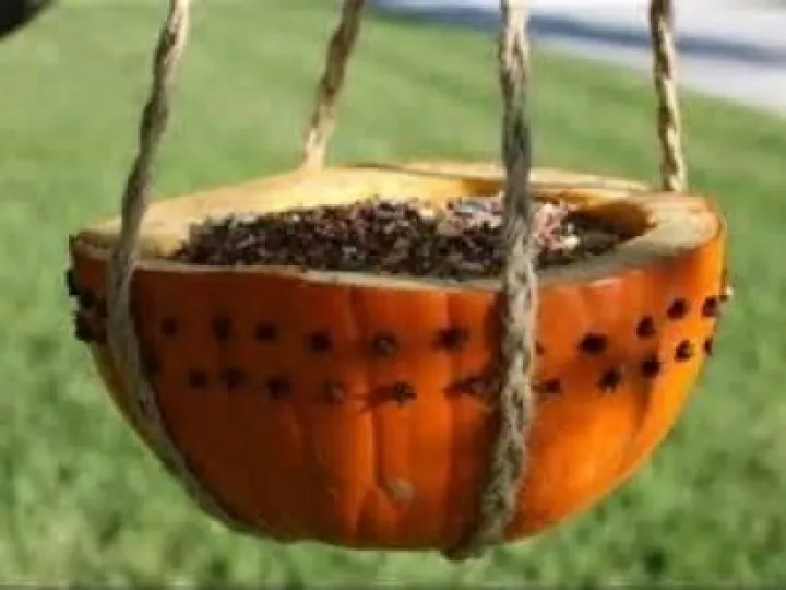 Bird feeder
