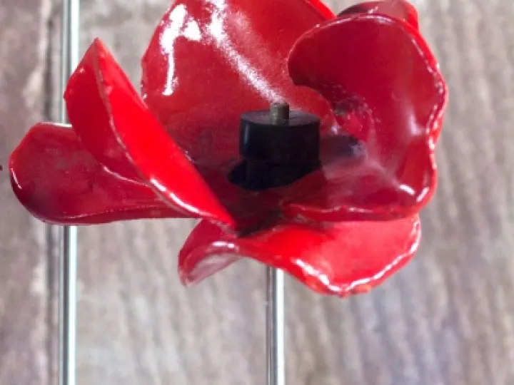 TowerPoppies