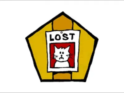 lost-cat