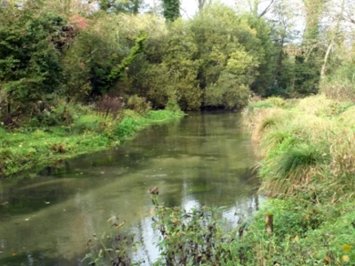 Flowing stream 07a