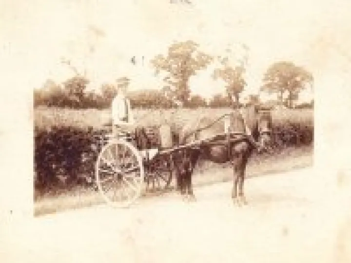 Tarvin People