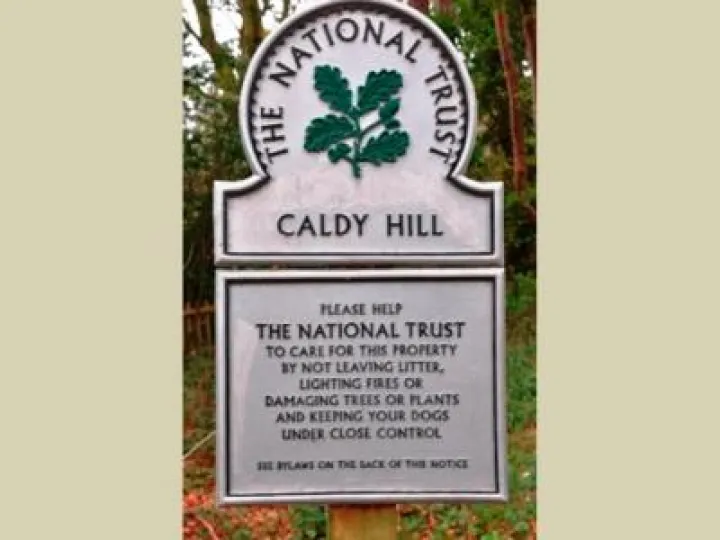 Caldy Hill