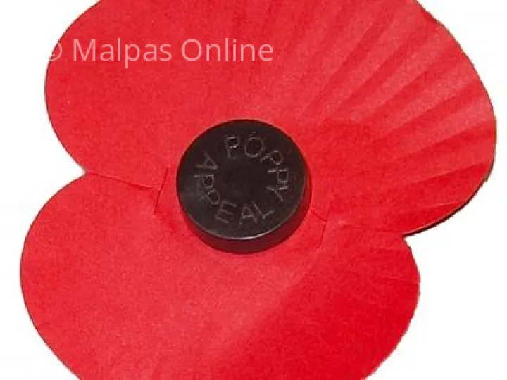 A Poppy