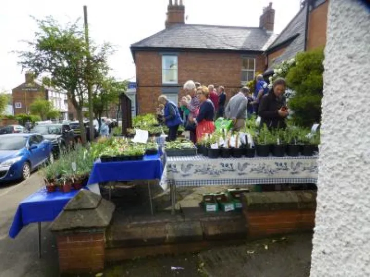 Woodland Trust Plant Sale 2018 P1080938