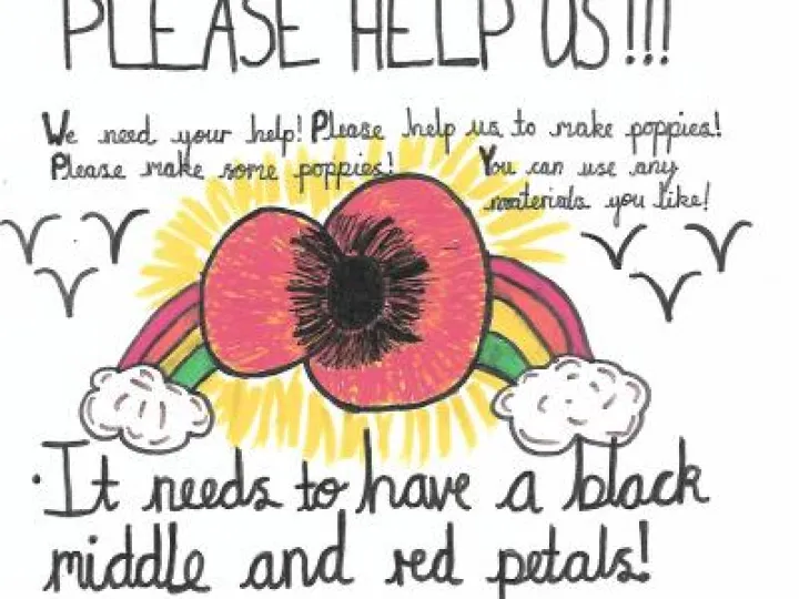 Schol Poppy Poster