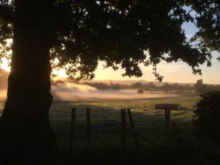 AutumnDawn2