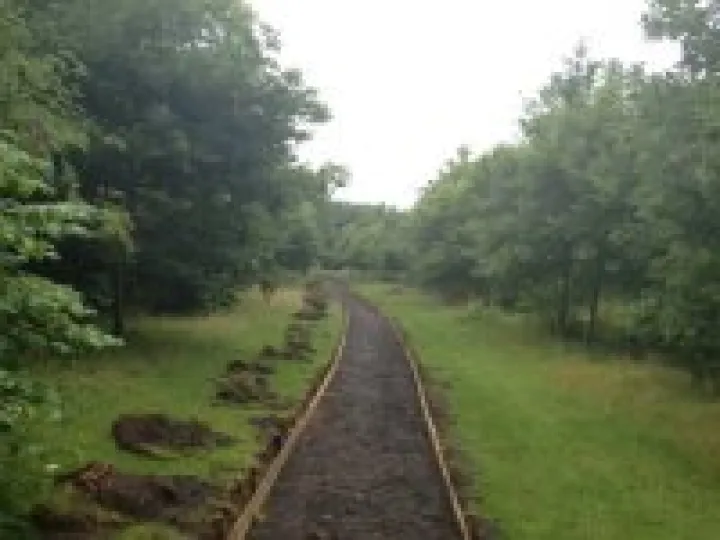 Community Woodland