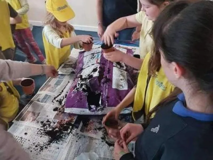 Brownies 1