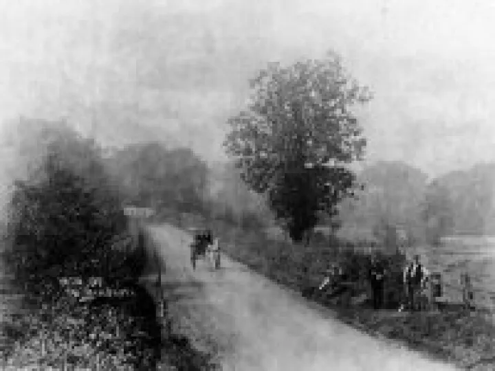 Cross Lane