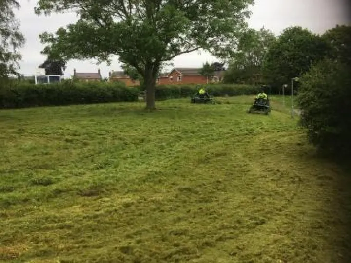 TCC Grass Cutting