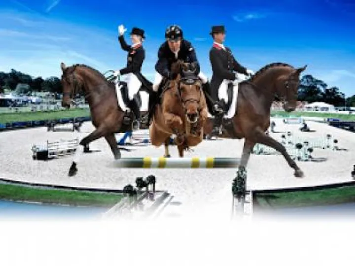 Horse show 2019