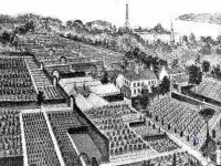 tree nursery image