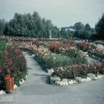 CZ_Sept1960