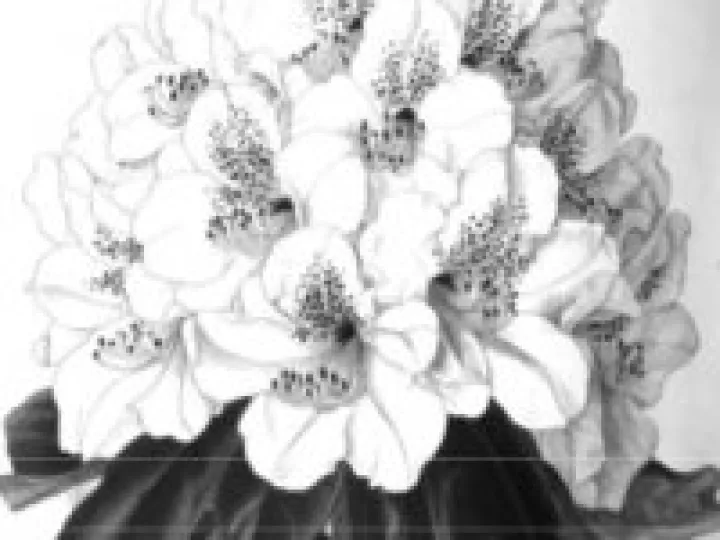 Paxton's Flower Garden