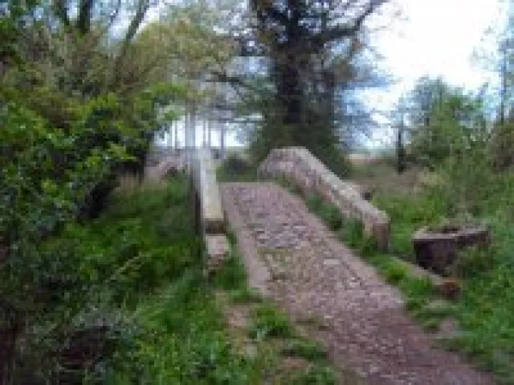 walk packhorse (2)