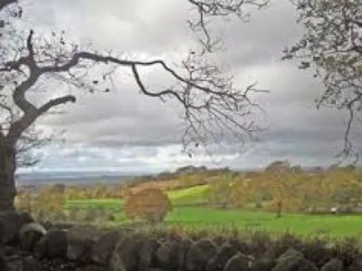 burwardsley images