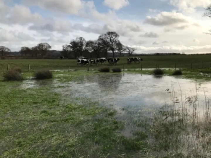 flooding 4
