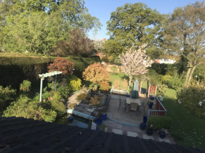 Img 0329