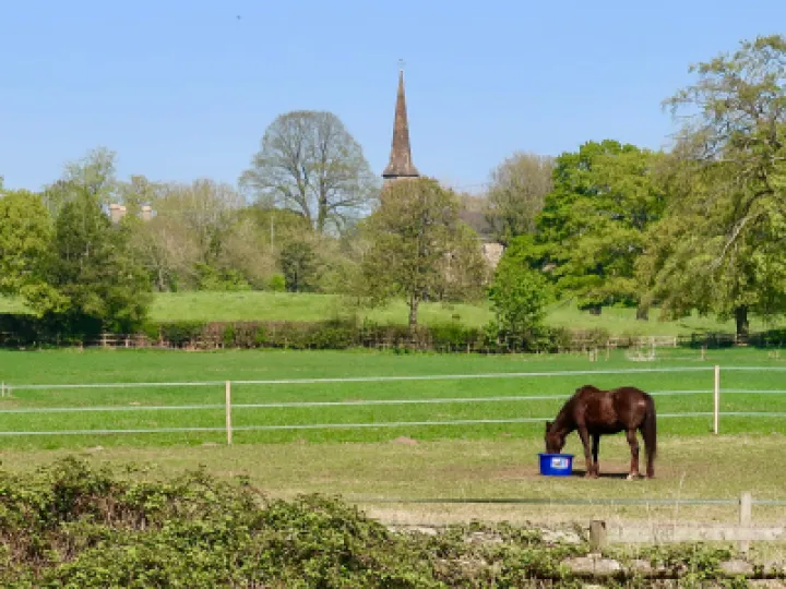 Horse & Church