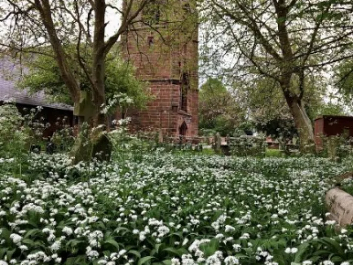 churchyard5